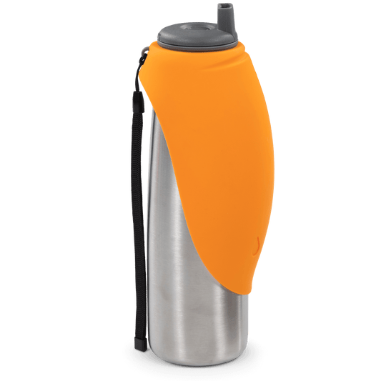 Insulated Double Wall Dog Travel Water Bottle with flip up bowl